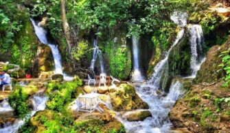 0d881ebc021ceac89df2a8afb5c97731