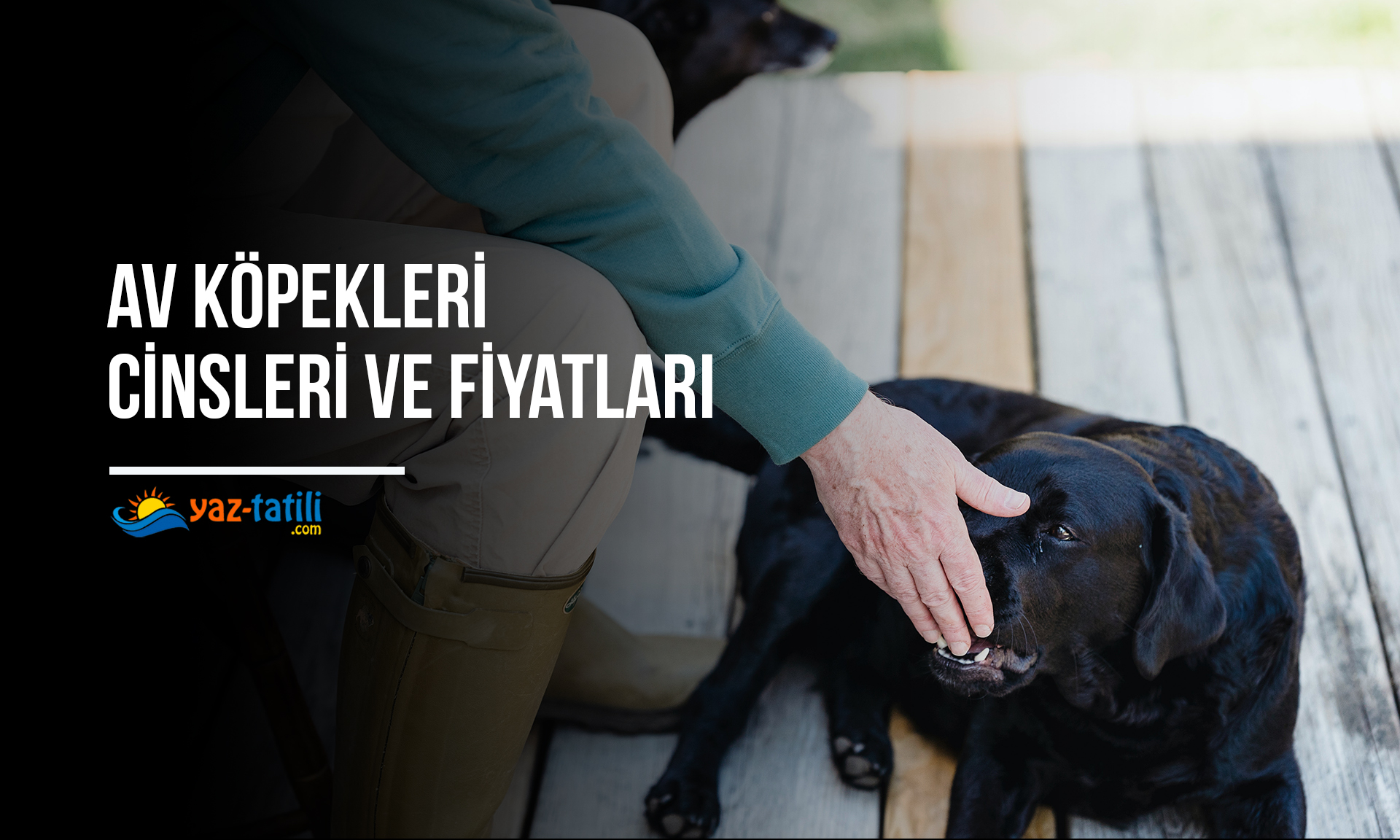 Av Köpekleri Cinsleri Ve Fiyatları