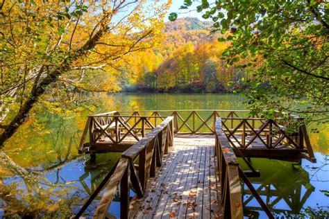 Doğa ile iç içe tatil deneyimi: Kamp Yapılacak En Güzel Yerler