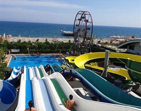 Hayvanlarla Tatil: En İyi Hayvan Dostu Tatil Köyleri