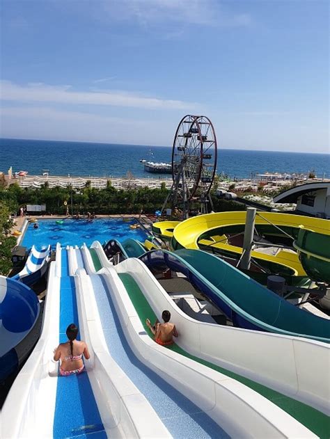 Hayvanlarla Tatil: En İyi Hayvan Dostu Tatil Köyleri