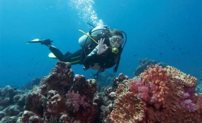 Tatil İçin En İyi Dalgıçlık Merkezleri