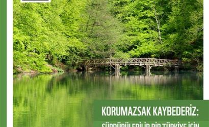 Türkiye'de Doğal Koruma Alanlarına Sahip Plajlar