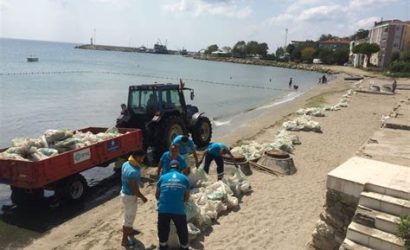 Doğa Koruma: Plaj Temizliği ve Deniz Kirliliğiyle Mücadele