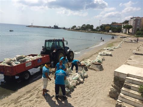 Doğa Koruma: Plaj Temizliği ve Deniz Kirliliğiyle Mücadele