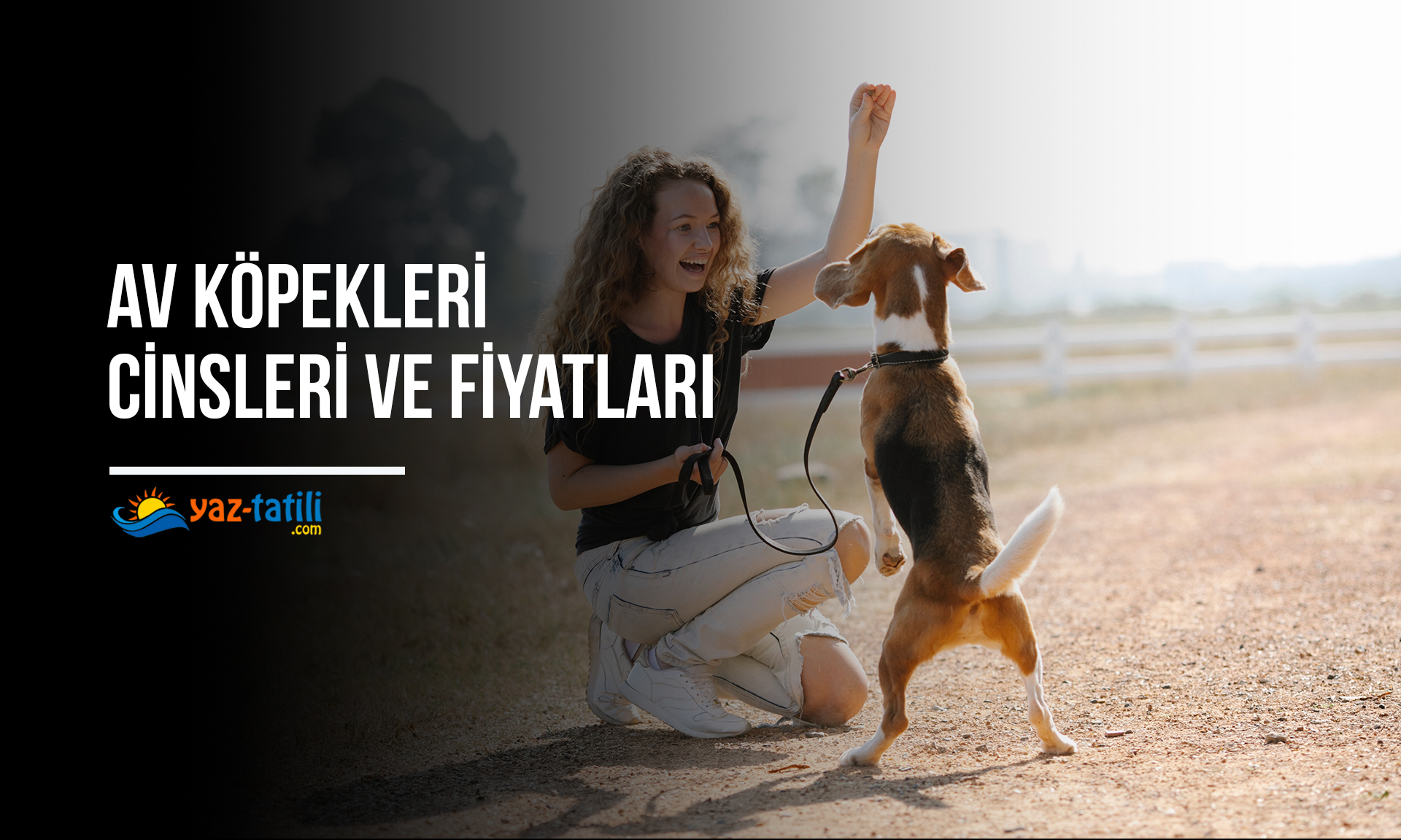 Av Köpekleri Cinsleri Ve Fiyatları