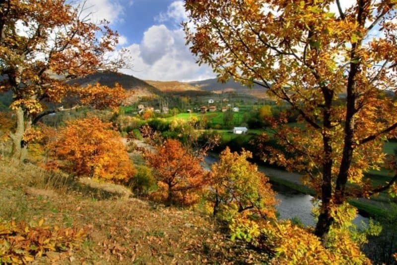 Argın Yaylası