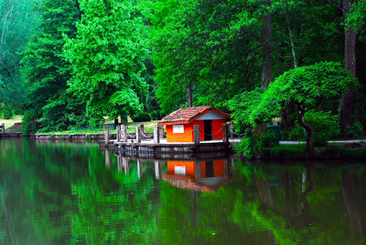 Atatürk Arboretum