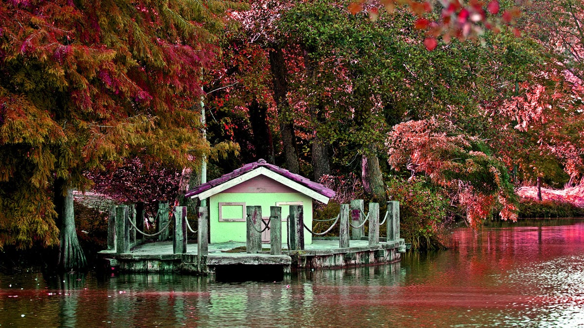 Atatürk Arboretum