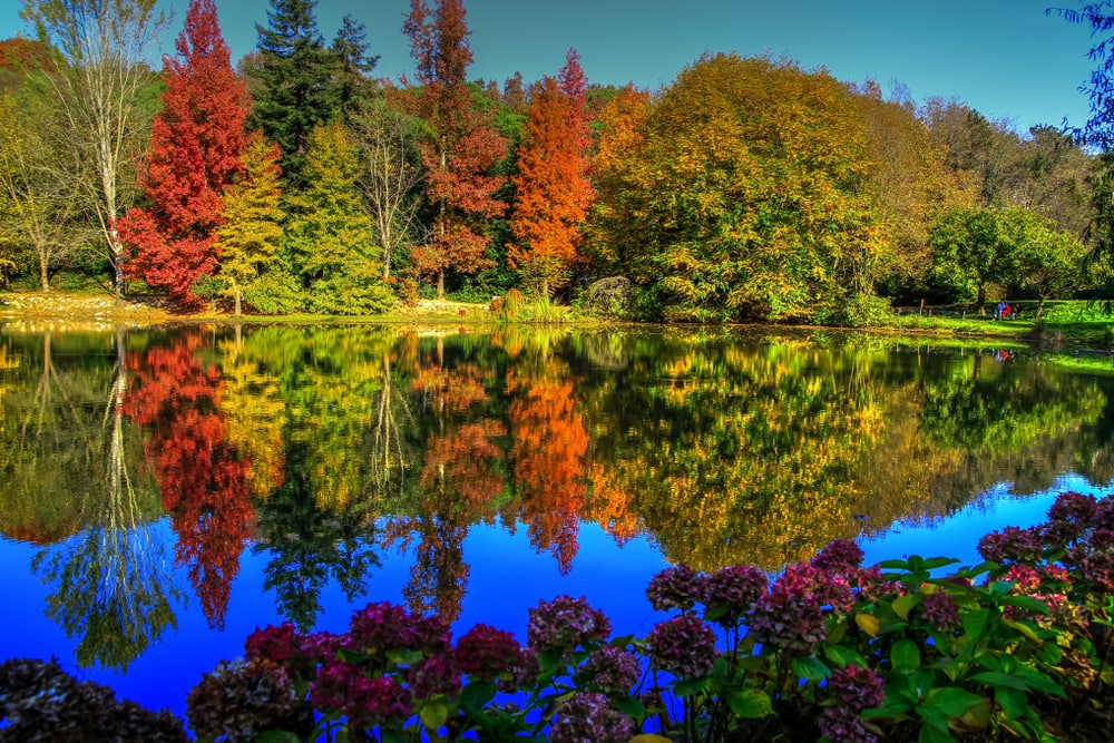 Atatürk Arboretum