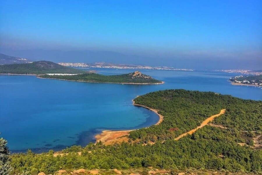 Ege Port 15
