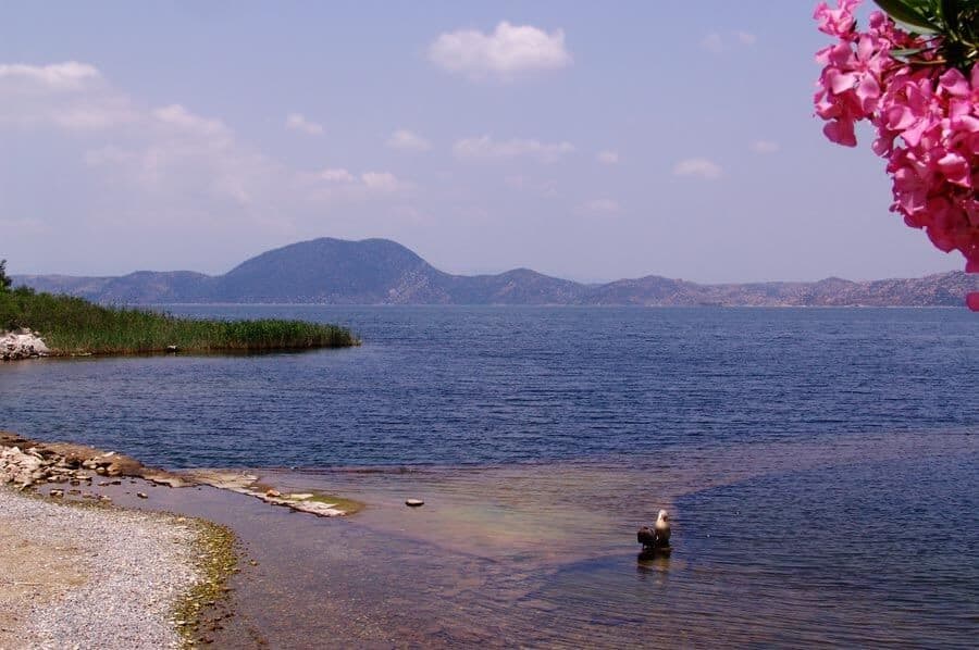 Bafa Gölü Milli Parkı 1