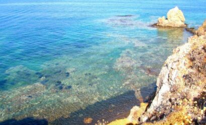 Çeşme Şifne (1)