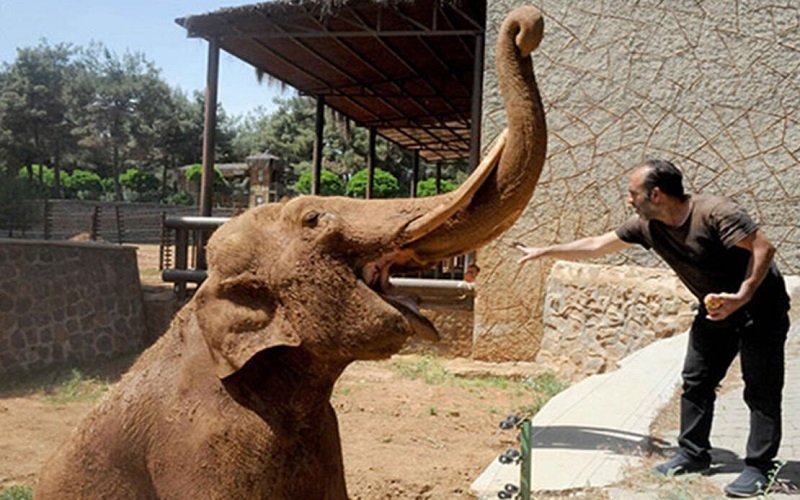 Darıca Hayvanat Bahçesi Ücret
