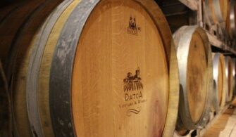 Datça Vineyard & Winery 1