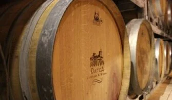 Datça Vineyard & Winery 1