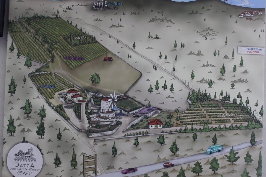 Datça Vineyard Winery 7