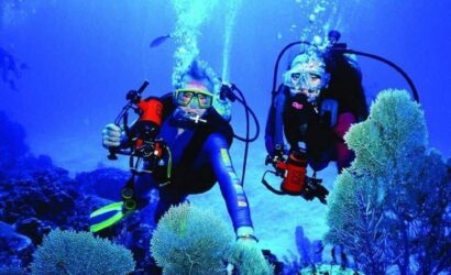 Fethiye sualtı dalış aktiviteleri 2