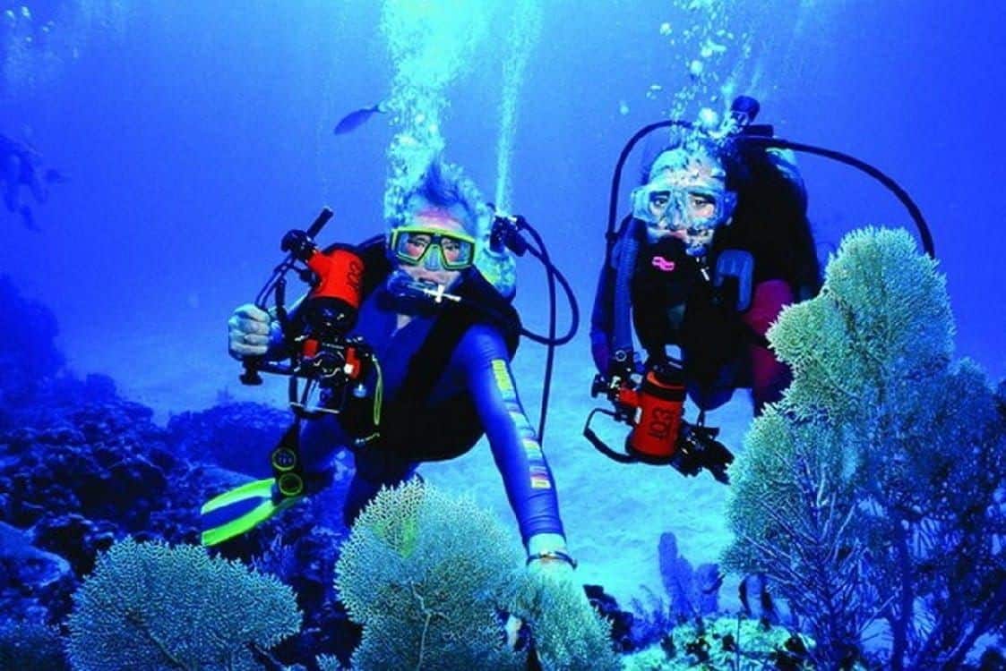 Fethiye Sualtı Dalış Aktiviteleri