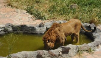 Gaziantep Hayvanat Bahçesi Nerede