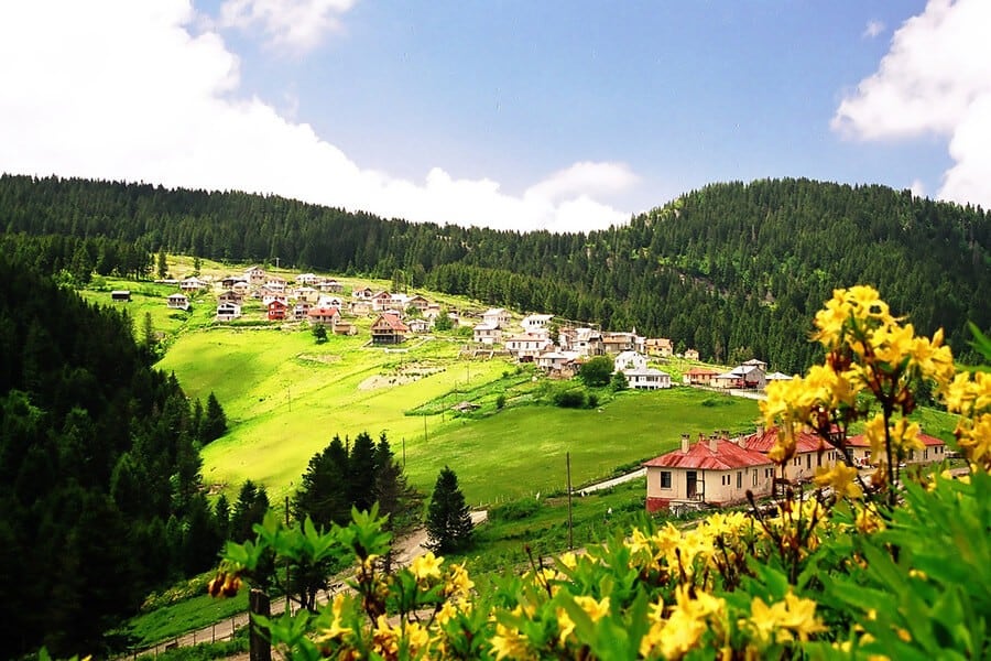 Giresun Gezi Rehberi 15
