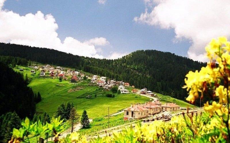 Kulakkaya Yaylası Giresun