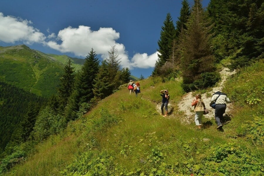 Hazindağ Yaylası 4