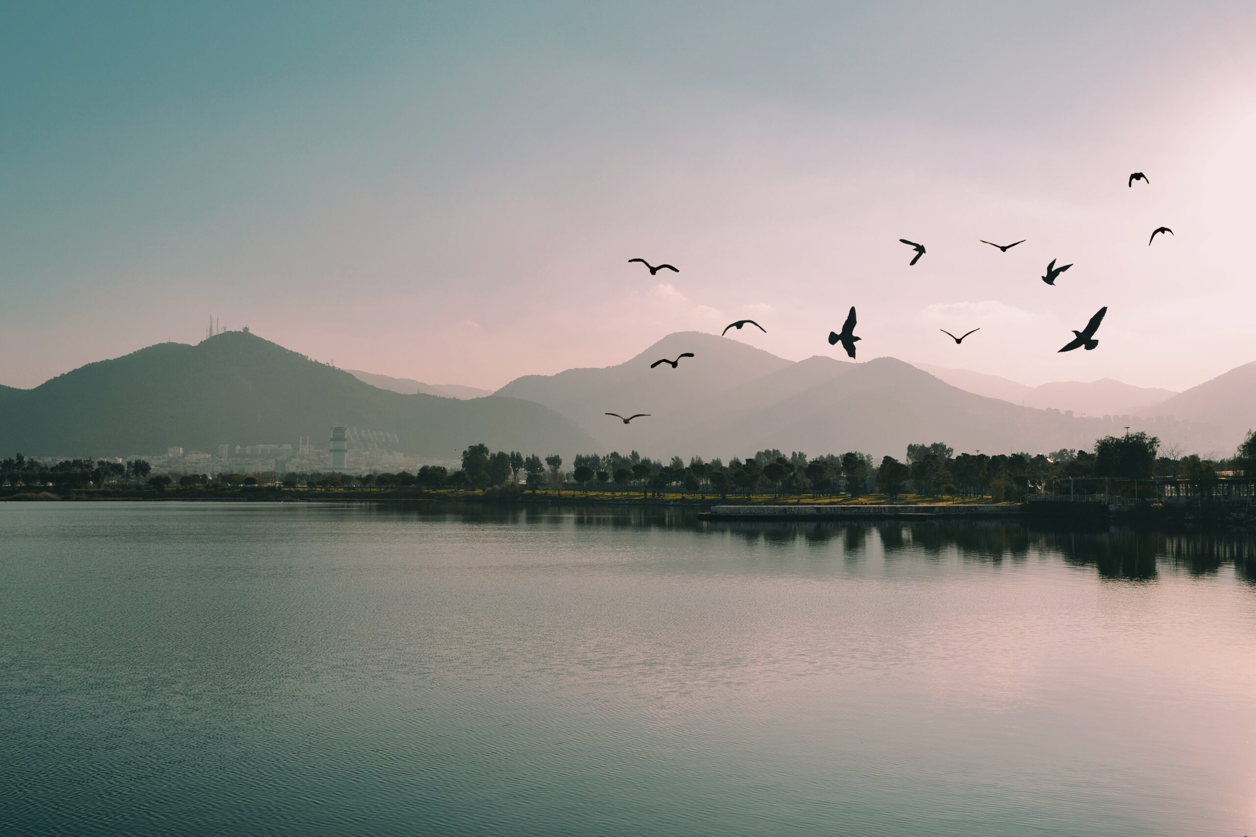 İzmir’in Kültürel Yapısı