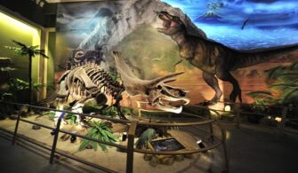 Jurassic Land İstanbul Nerede