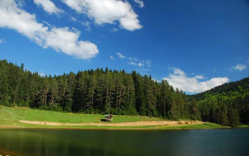 Yenice Ormanları Karabük