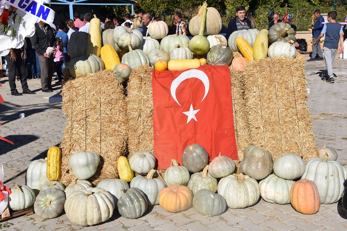 Türkiye'de Yapılan Festivaller 48