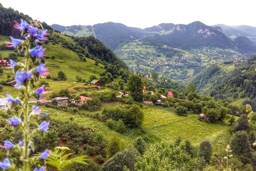 Kulakkaya Yaylası 4