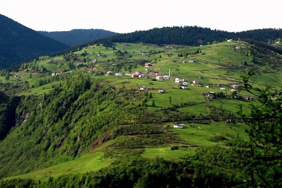 Kuruçam Yaylası 7