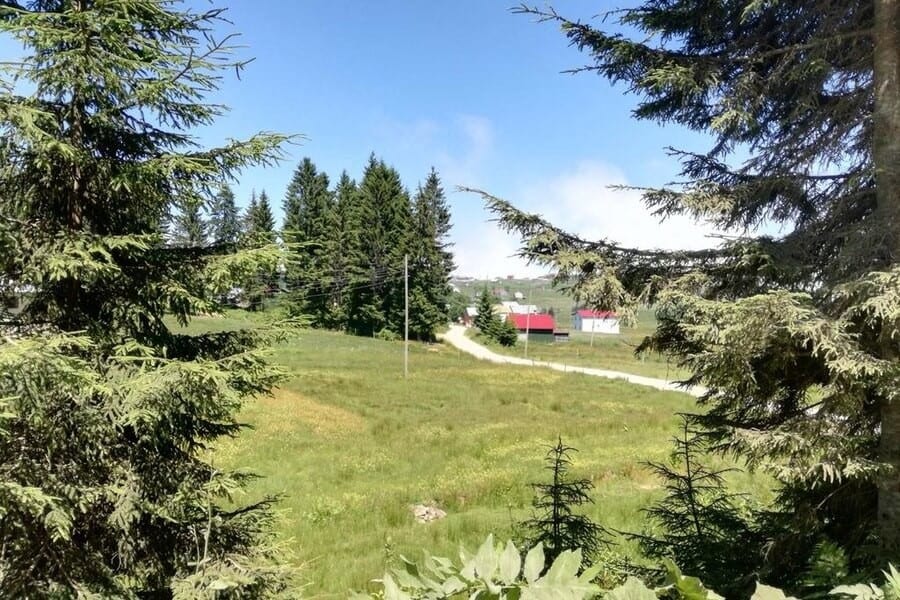 Kuruçam Yaylası 8