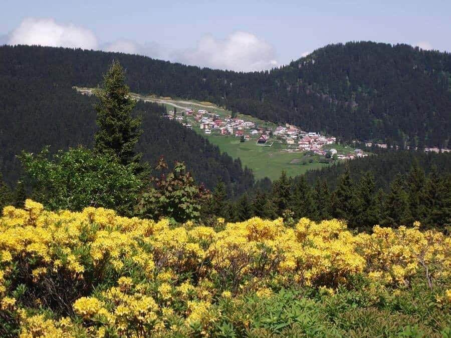 Melikli Obası Yaylası 3