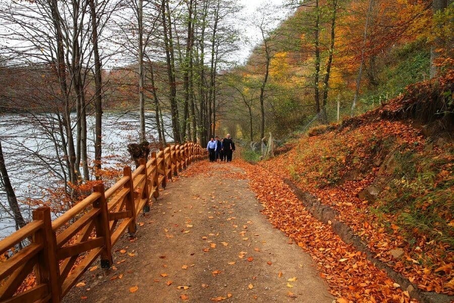 Ordu Gezilecek Yerler