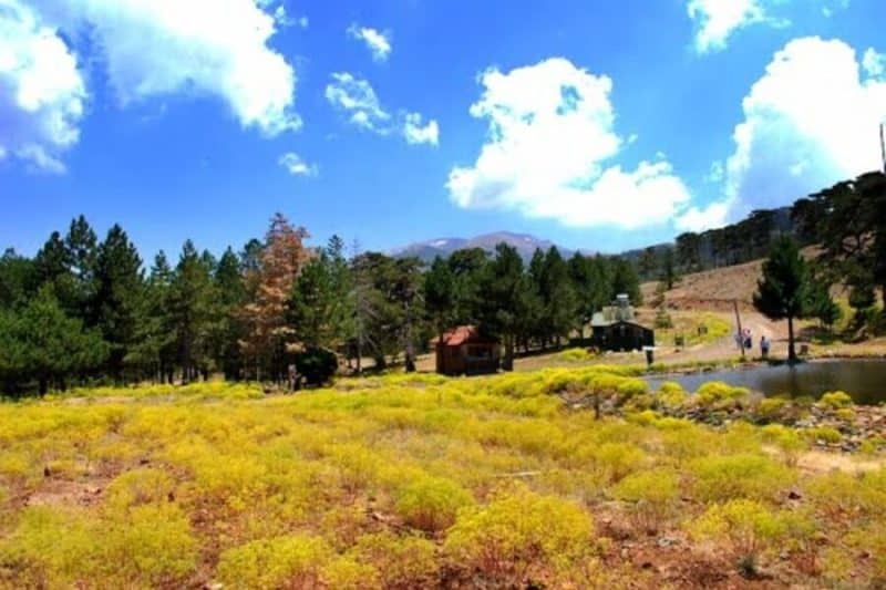 Ordu Beyağaç Yaylası 5