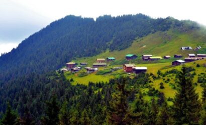 Pokut Yaylası