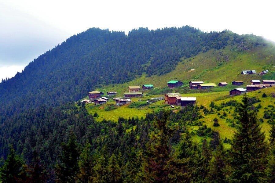 Pokut Yaylası