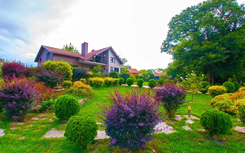 Sapanca Kırkpınar Mahallesi Sapanca