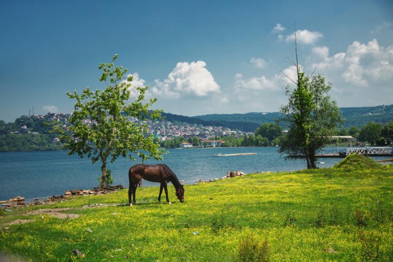 Sapanca Gölü gezi rehberi