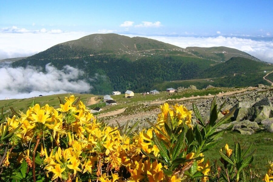 Sis Dağı Yaylası 4