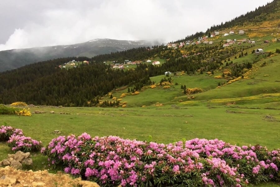 Sis Dağı Yaylası 5