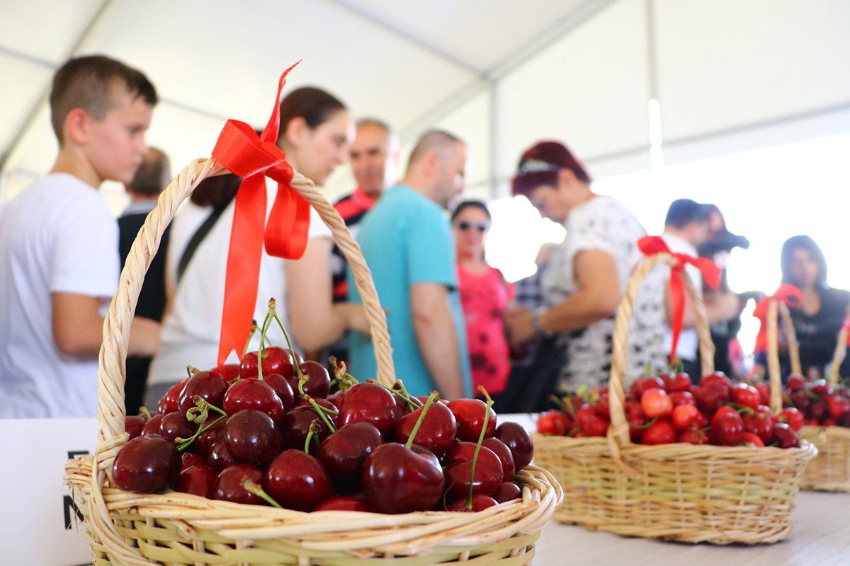 Türkiye'de Yapılan Festivaller 70