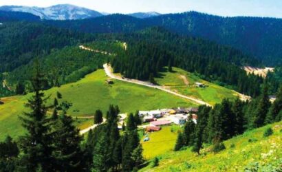 Tonya Erikbeli Yaylası