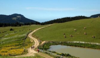 Yeşilce ve Topçam Yaylası