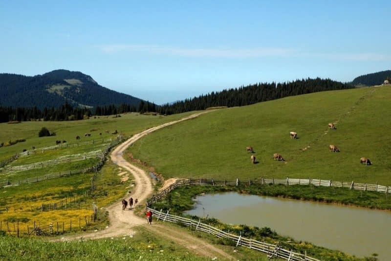 Yeşilce ve Topçam Yaylası