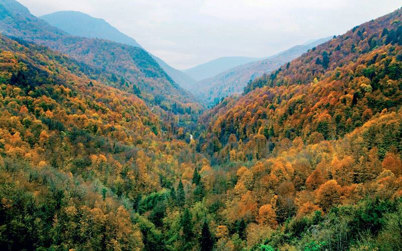 Çitdere Tabiat Koruma Alanı - Zonguldak