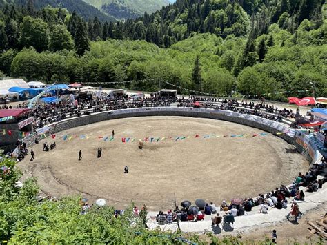 Artvin Çamlıhemşin Ayder Kültür Sanat ve Doğa Festivali