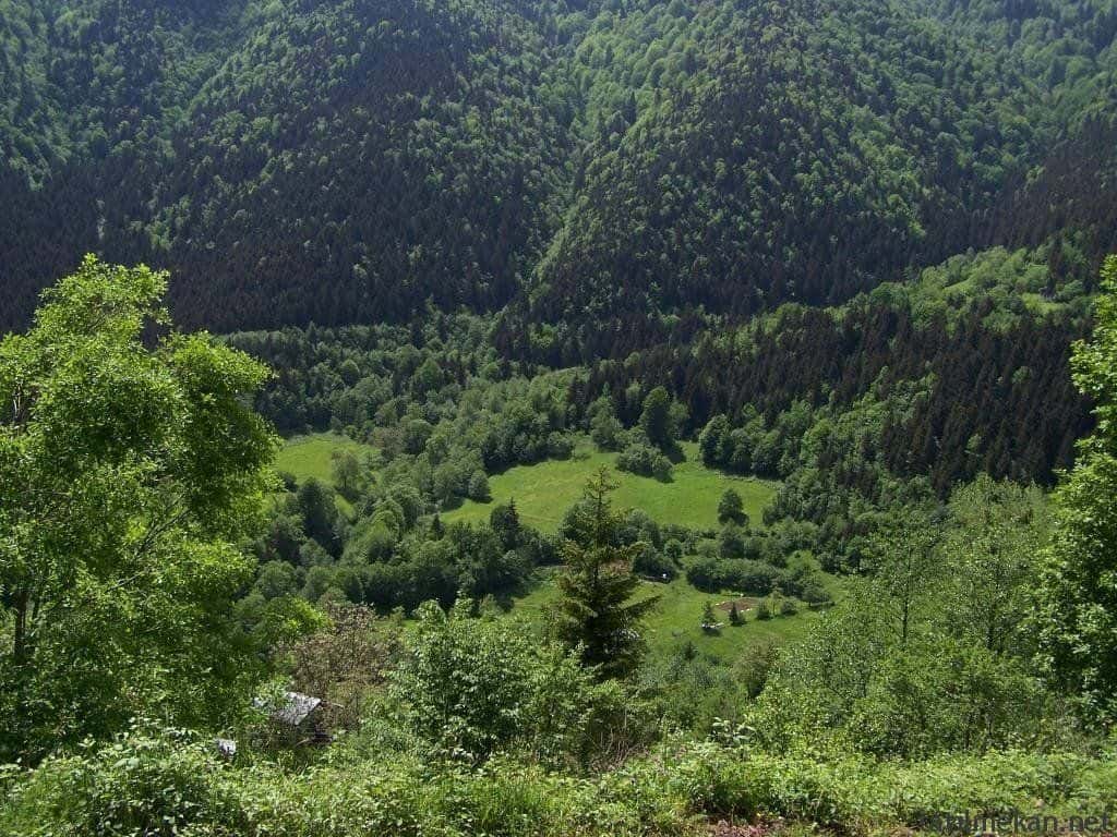 artvin-kafkasör-yaylası